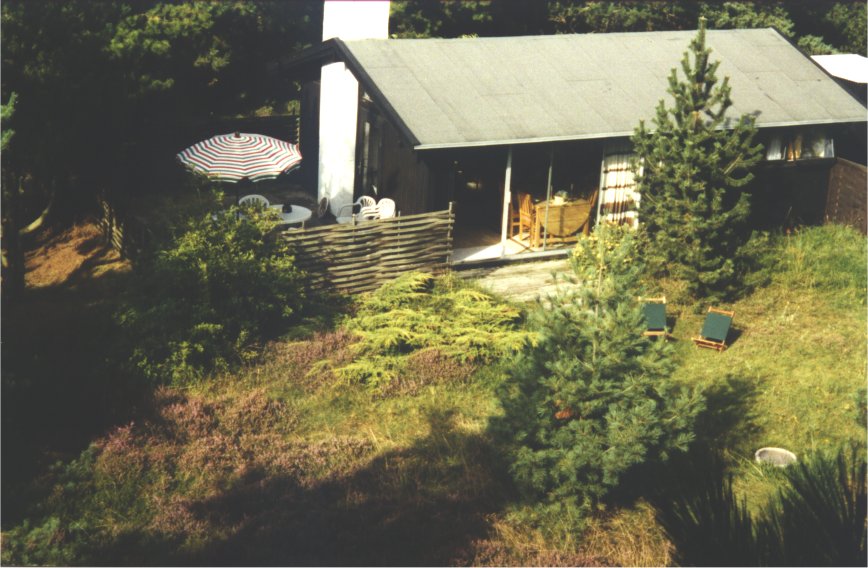 Ved Danmarks bedste, brnevenlige sandstrand udlejes sommerhus p smuk naturgrund